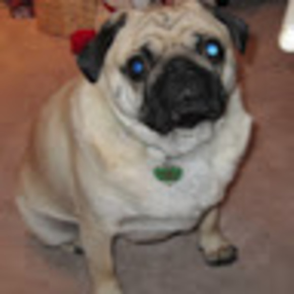 Meet your Posher, Connie - Picture 1 of 1